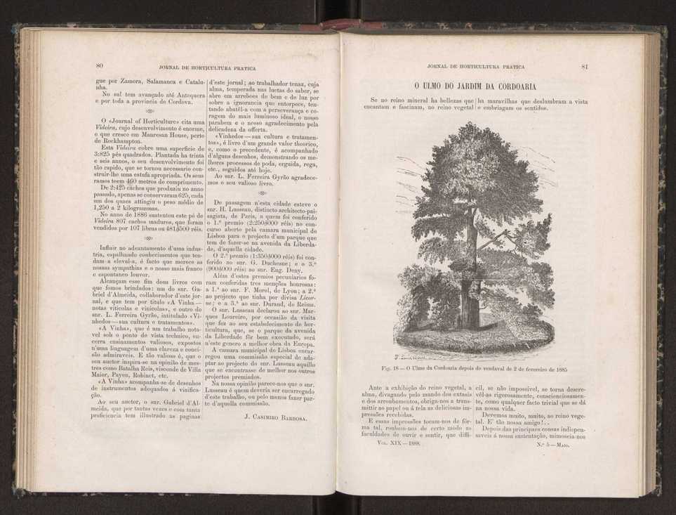Jornal de horticultura prtica XIX 54