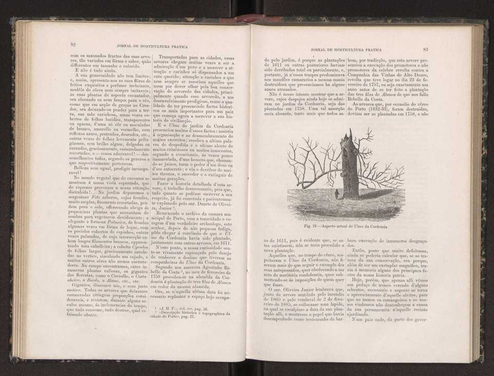 Jornal de horticultura prtica XIX 55