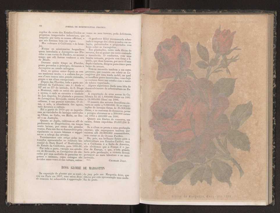 Jornal de horticultura prtica XIX 58