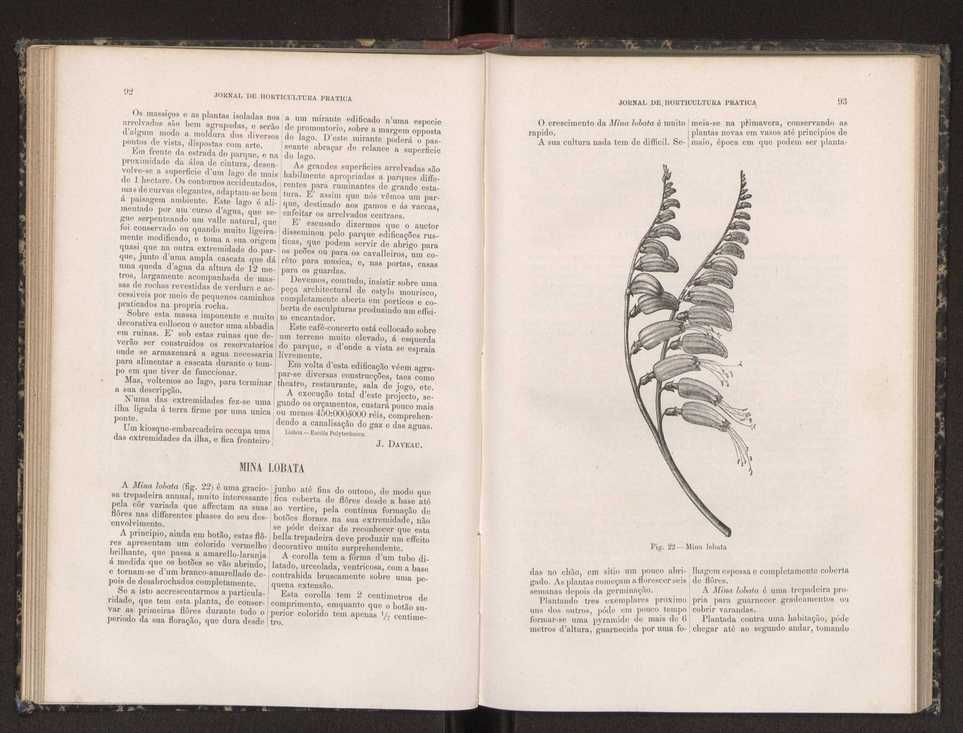 Jornal de horticultura prtica XIX 62