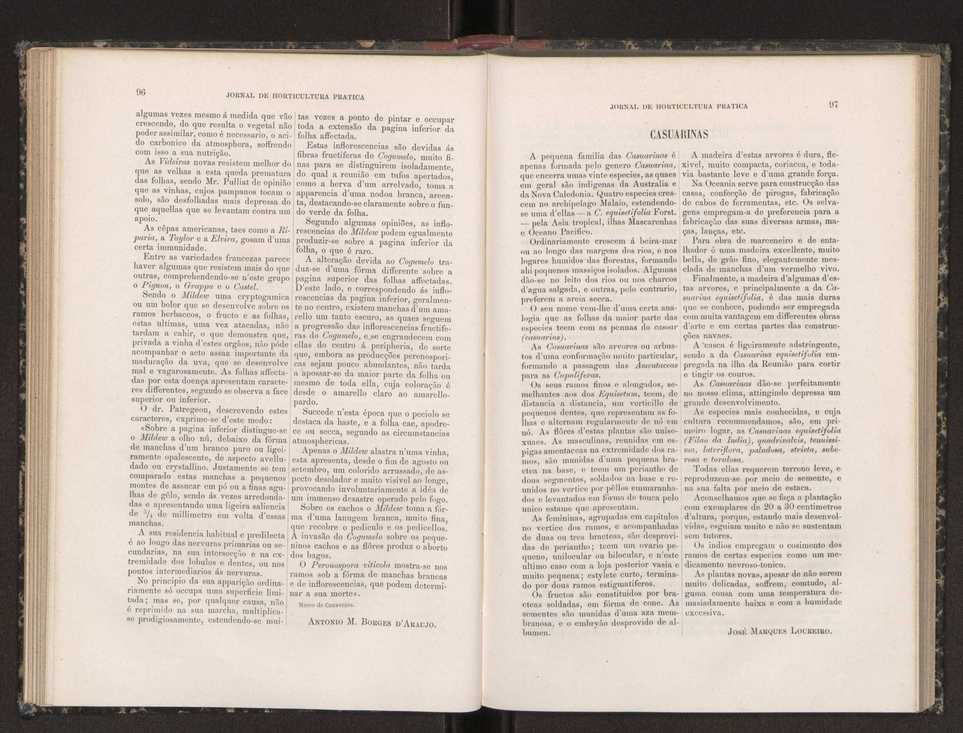 Jornal de horticultura prtica XIX 64