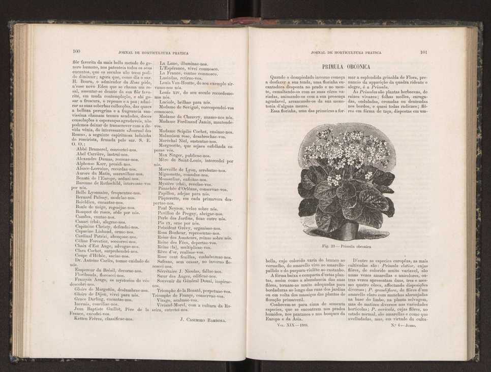 Jornal de horticultura prtica XIX 66