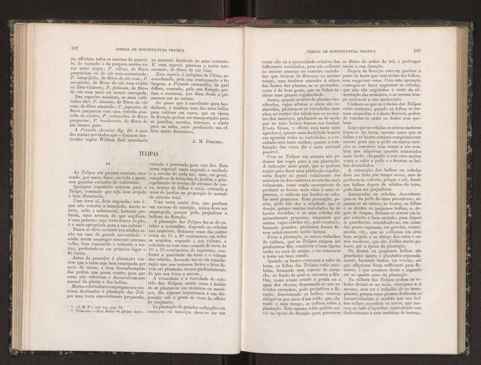 Jornal de horticultura prtica XIX 67