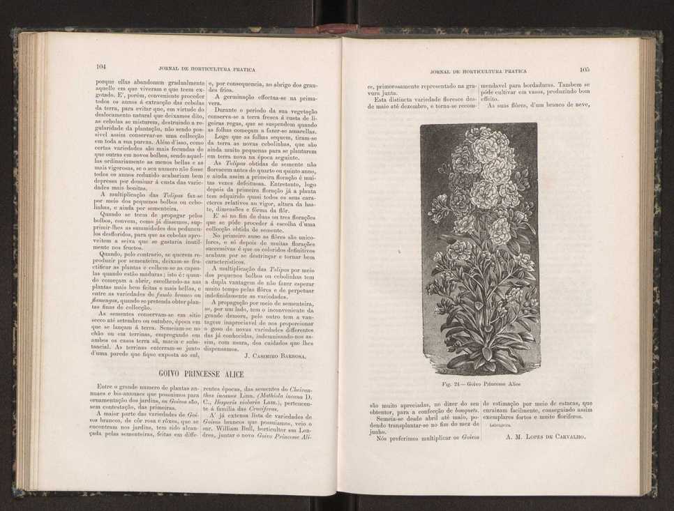 Jornal de horticultura prtica XIX 68