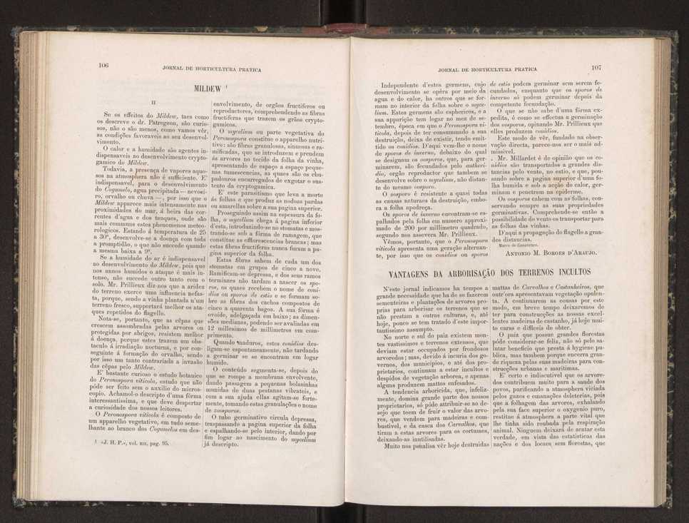 Jornal de horticultura prtica XIX 69
