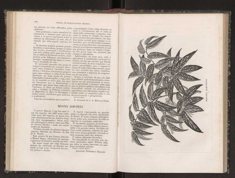 Jornal de horticultura prtica XIX 70