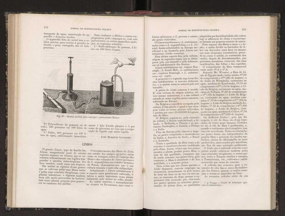 Jornal de horticultura prtica XIX 73