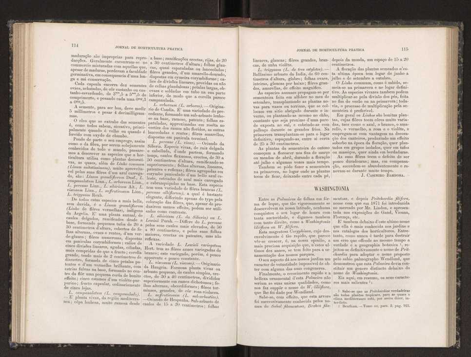 Jornal de horticultura prtica XIX 74