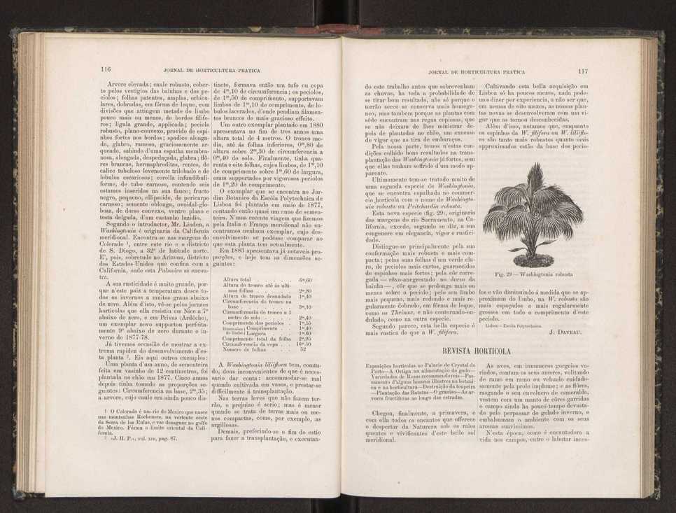 Jornal de horticultura prtica XIX 75