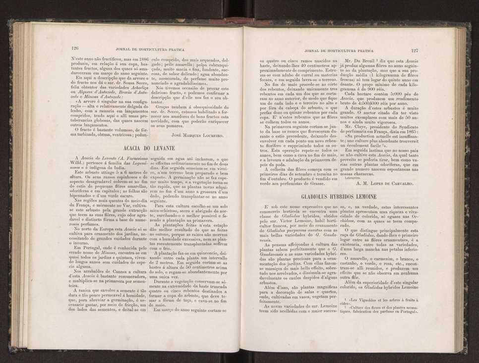 Jornal de horticultura prtica XIX 80
