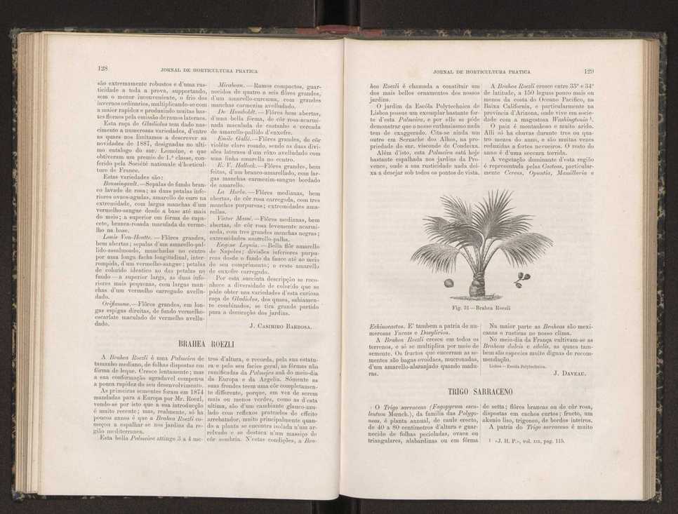 Jornal de horticultura prtica XIX 81