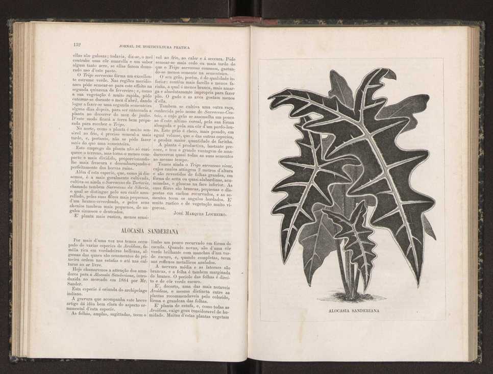 Jornal de horticultura pr�tica XIX 83