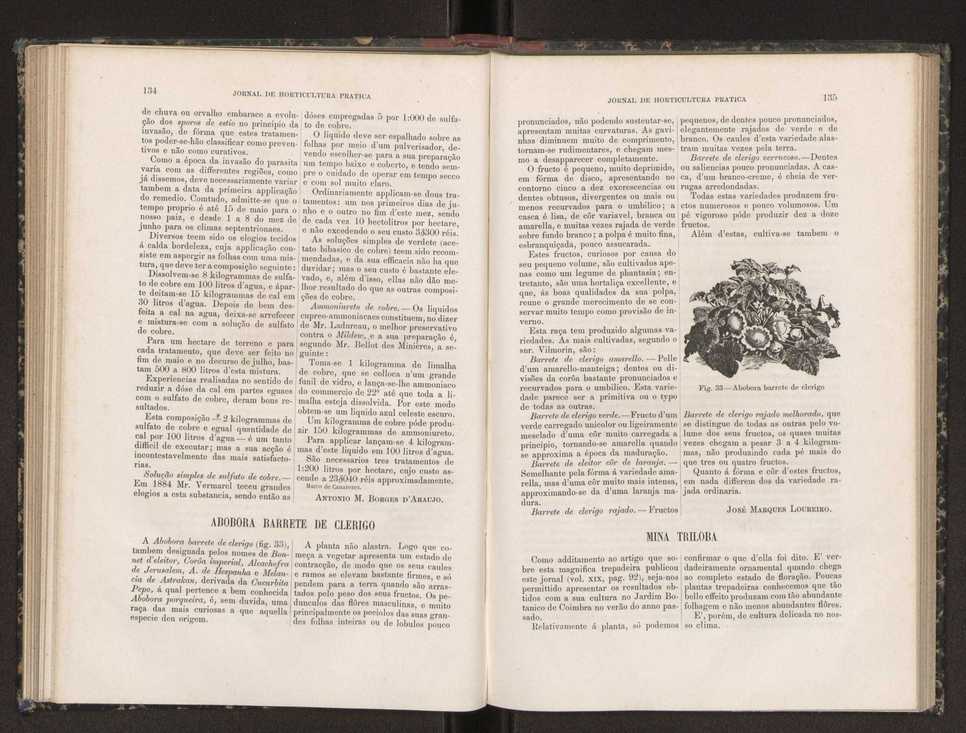 Jornal de horticultura pr�tica XIX 85