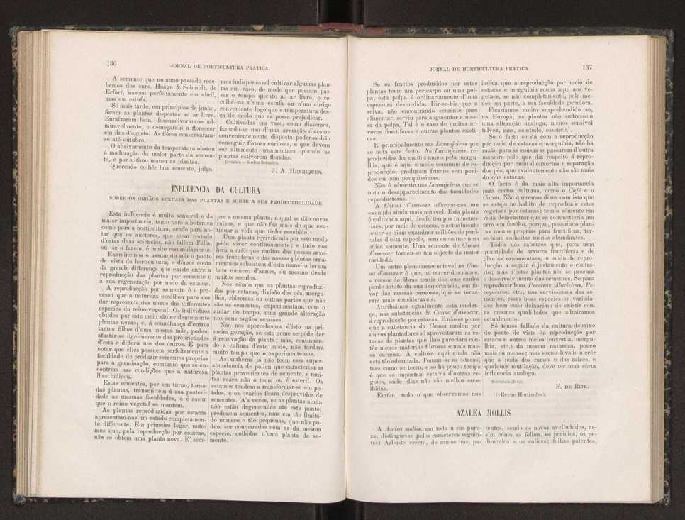 Jornal de horticultura prtica XIX 86