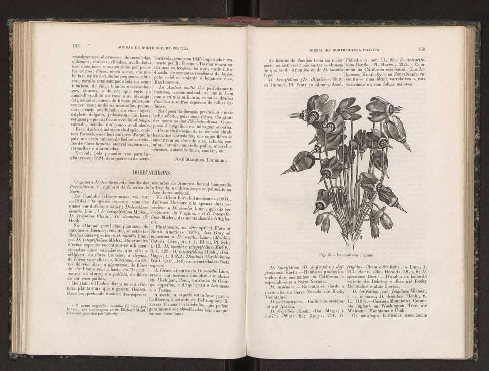 Jornal de horticultura prtica XIX 87