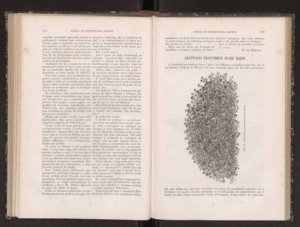 Jornal de horticultura prtica XIX 92