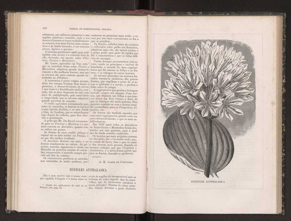 Jornal de horticultura pr�tica XIX 94
