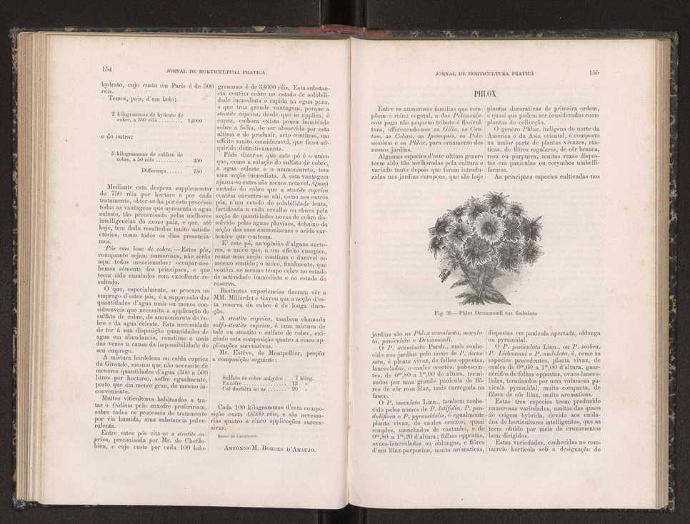Jornal de horticultura prtica XIX 96
