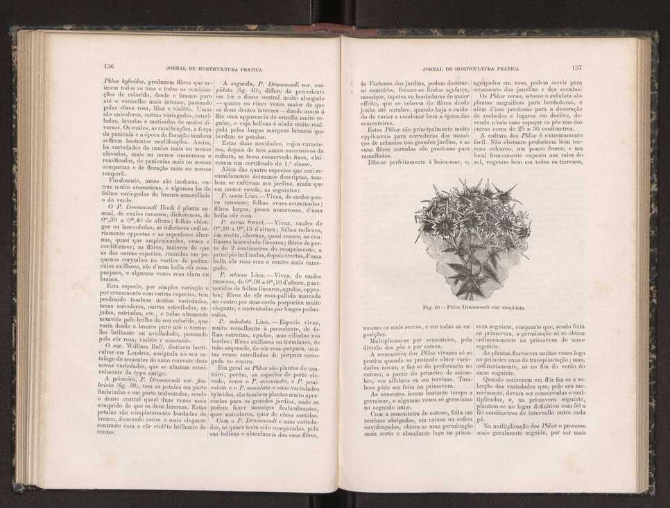 Jornal de horticultura prtica XIX 97