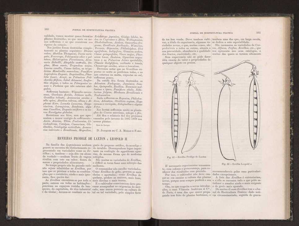 Jornal de horticultura prtica XIX 99