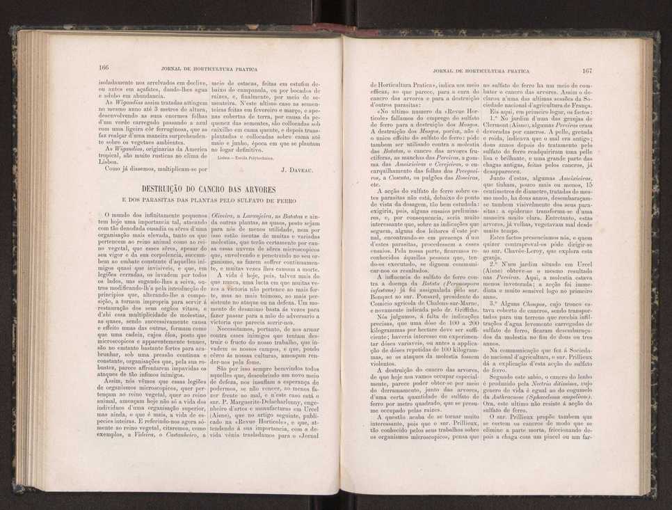 Jornal de horticultura prtica XIX 102