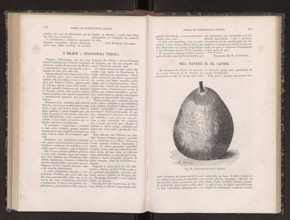 Jornal de horticultura prtica XIX 107
