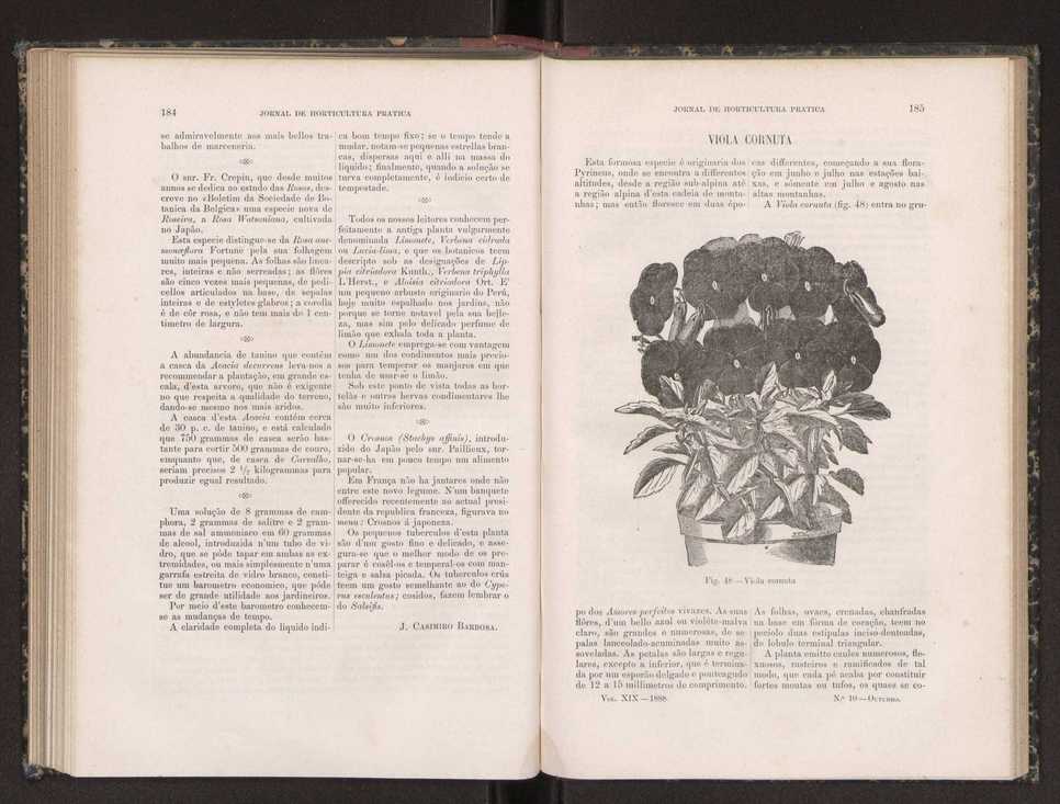 Jornal de horticultura prtica XIX 112