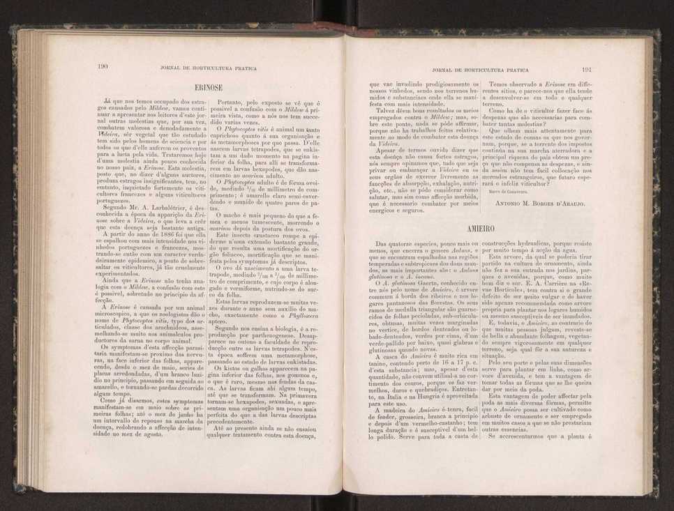 Jornal de horticultura prtica XIX 115