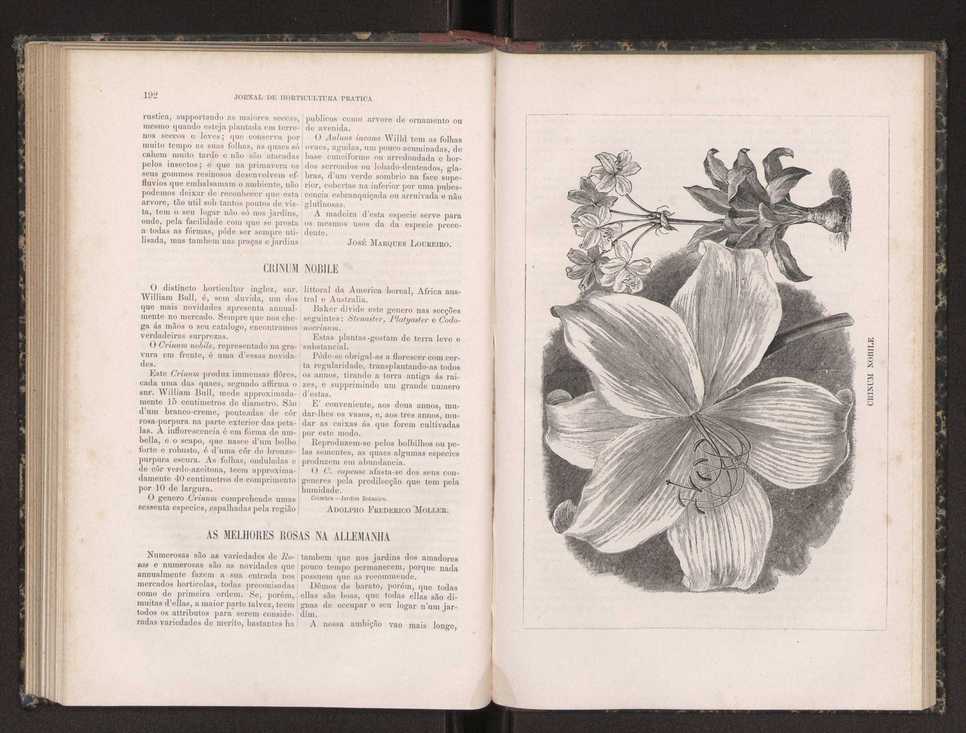 Jornal de horticultura prtica XIX 116