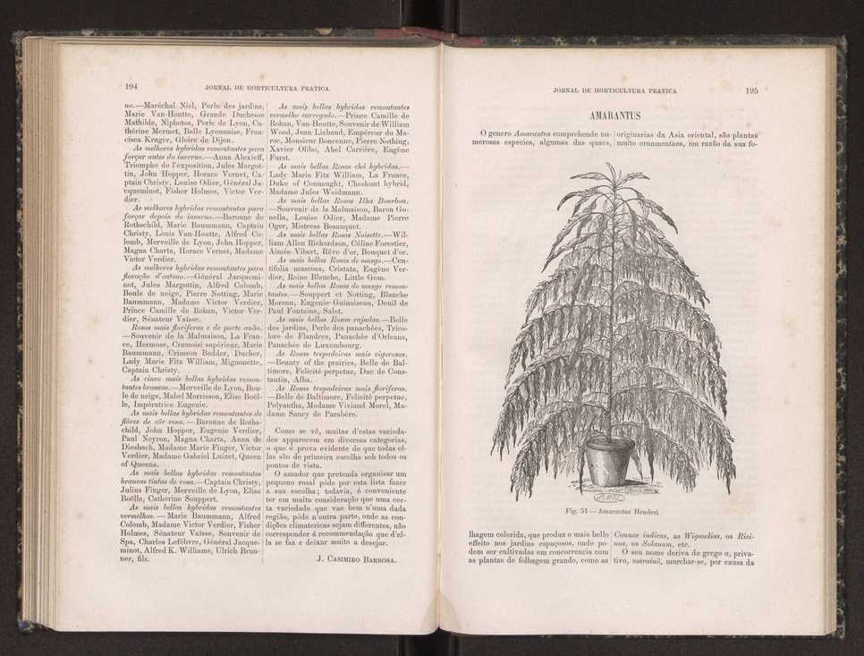 Jornal de horticultura prtica XIX 118