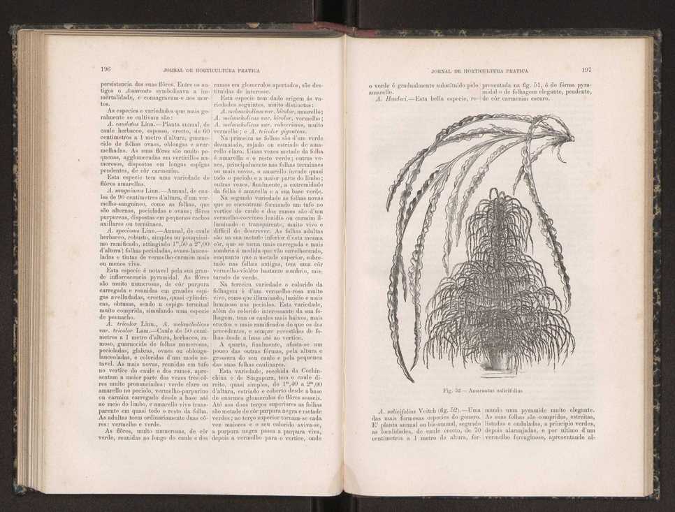 Jornal de horticultura prtica XIX 119