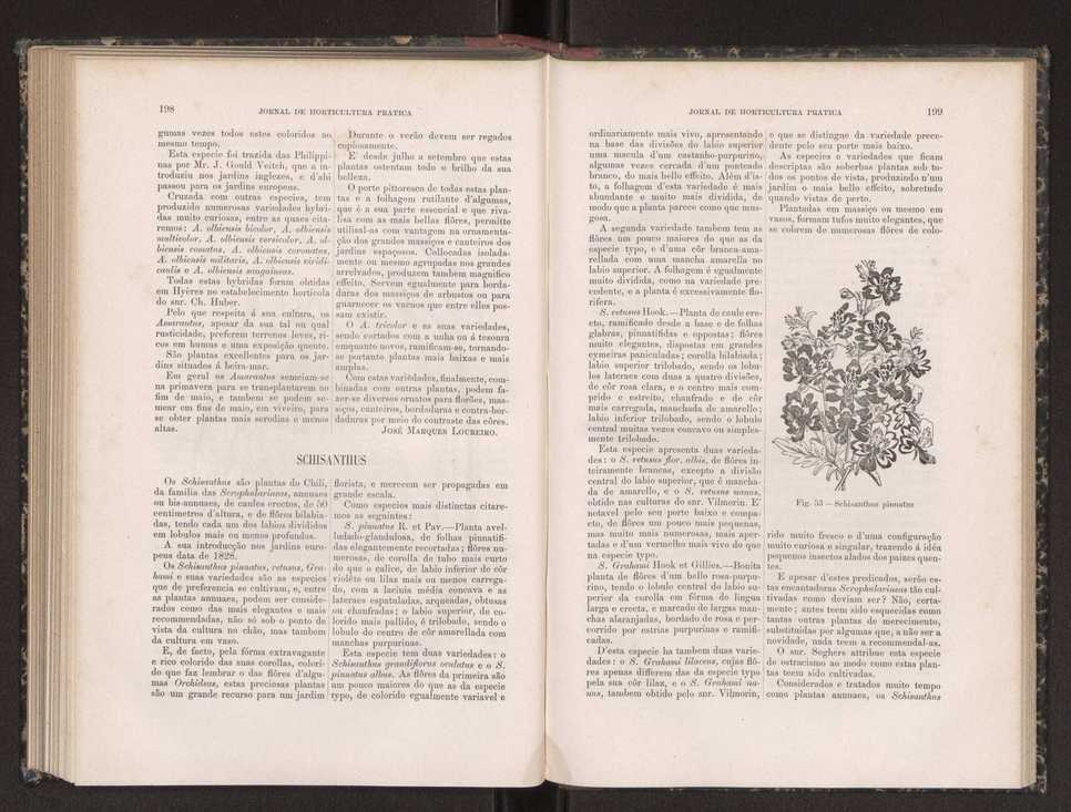 Jornal de horticultura prtica XIX 120