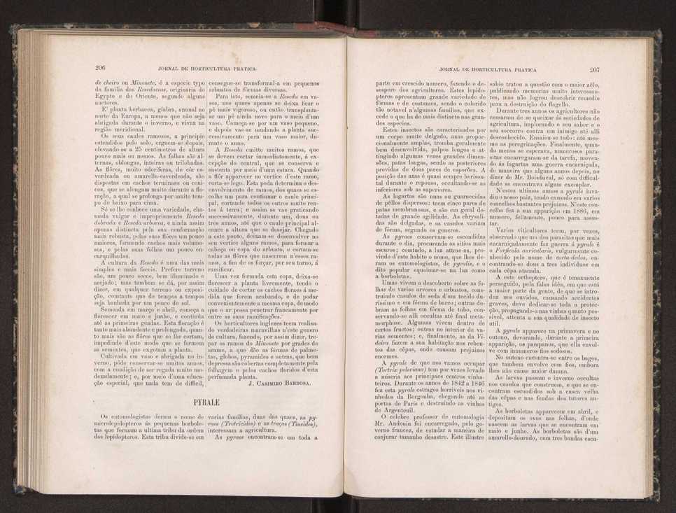 Jornal de horticultura prtica XIX 124