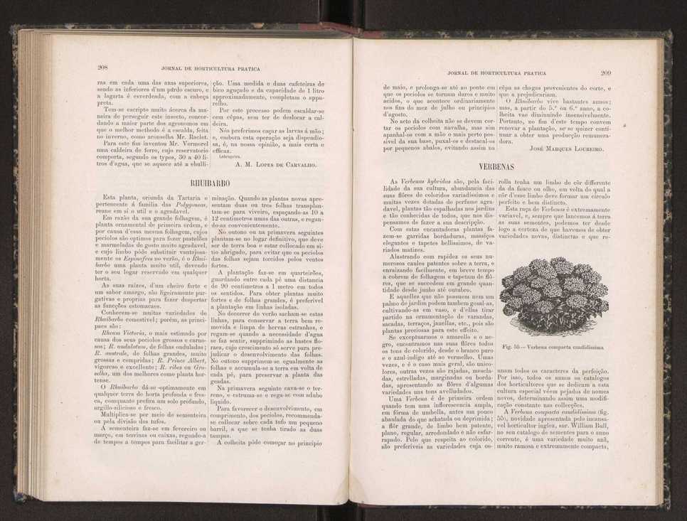 Jornal de horticultura prtica XIX 125