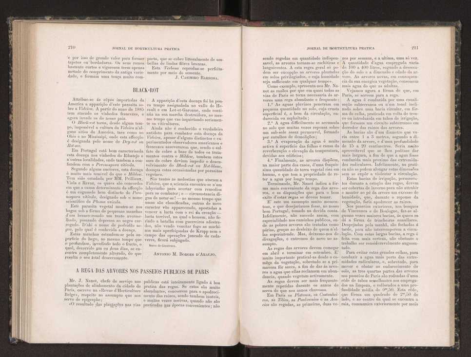 Jornal de horticultura prtica XIX 126
