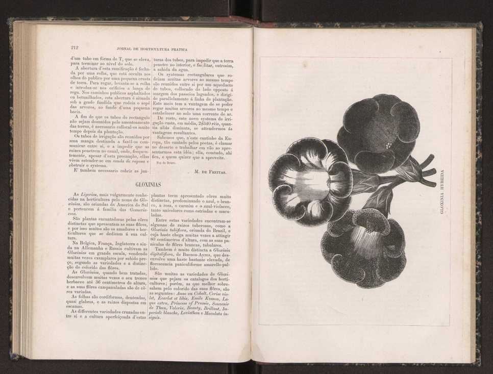 Jornal de horticultura prtica XIX 127
