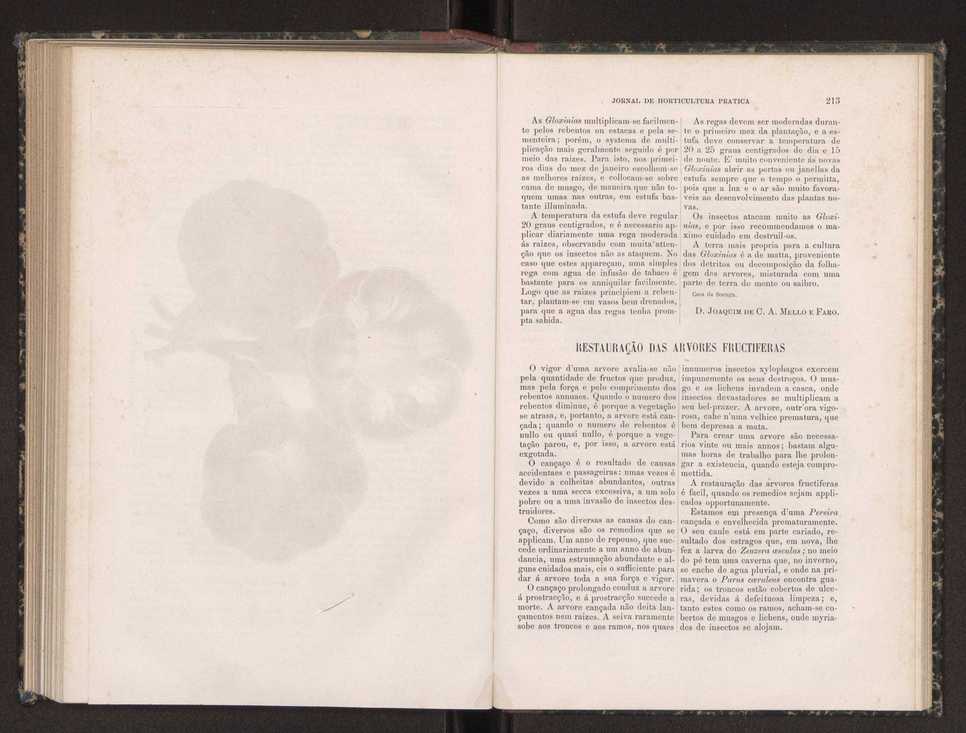 Jornal de horticultura prtica XIX 128