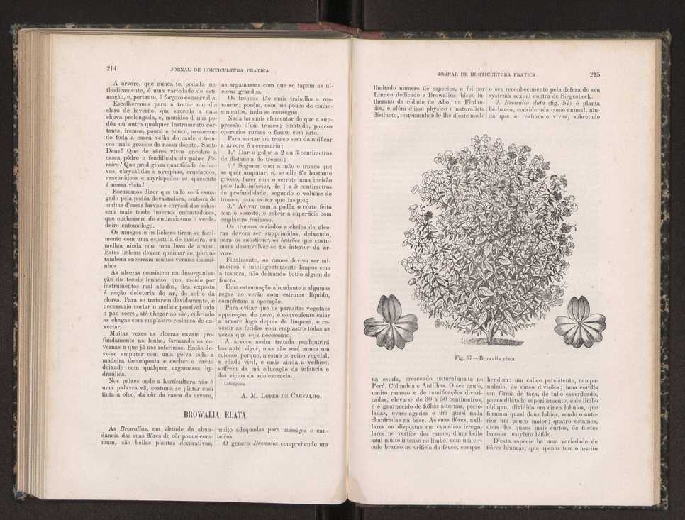 Jornal de horticultura prtica XIX 129
