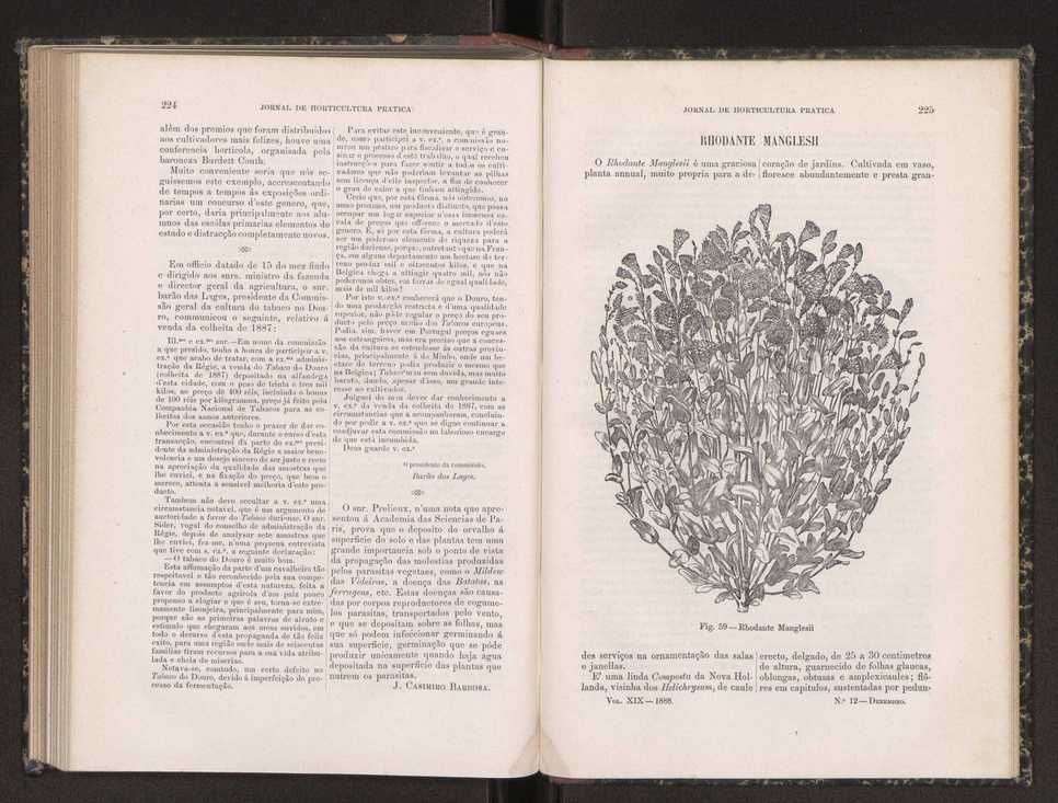 Jornal de horticultura prtica XIX 134