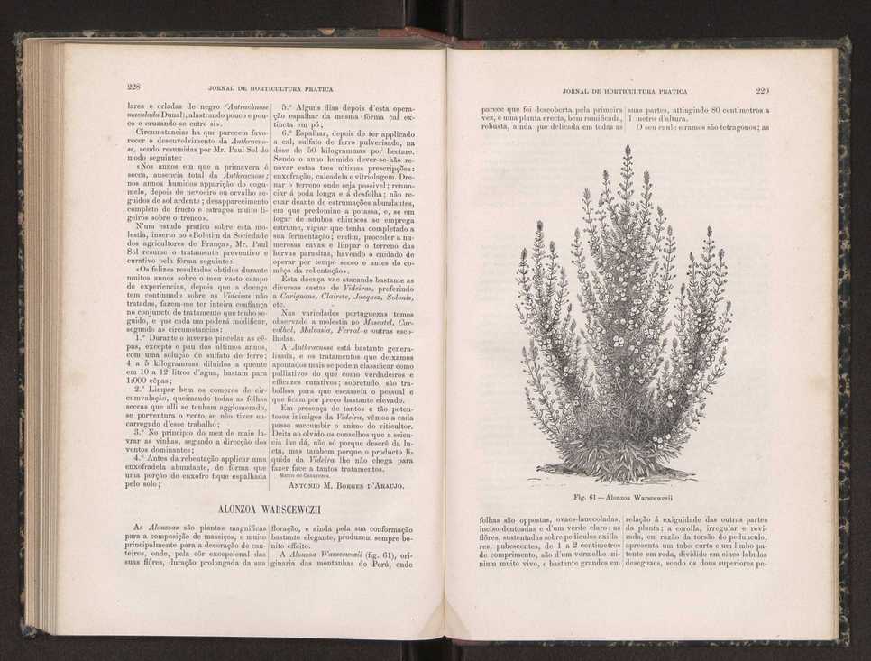 Jornal de horticultura prtica XIX 136