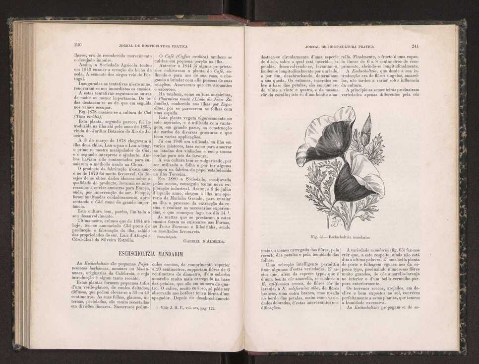 Jornal de horticultura prtica XIX 142