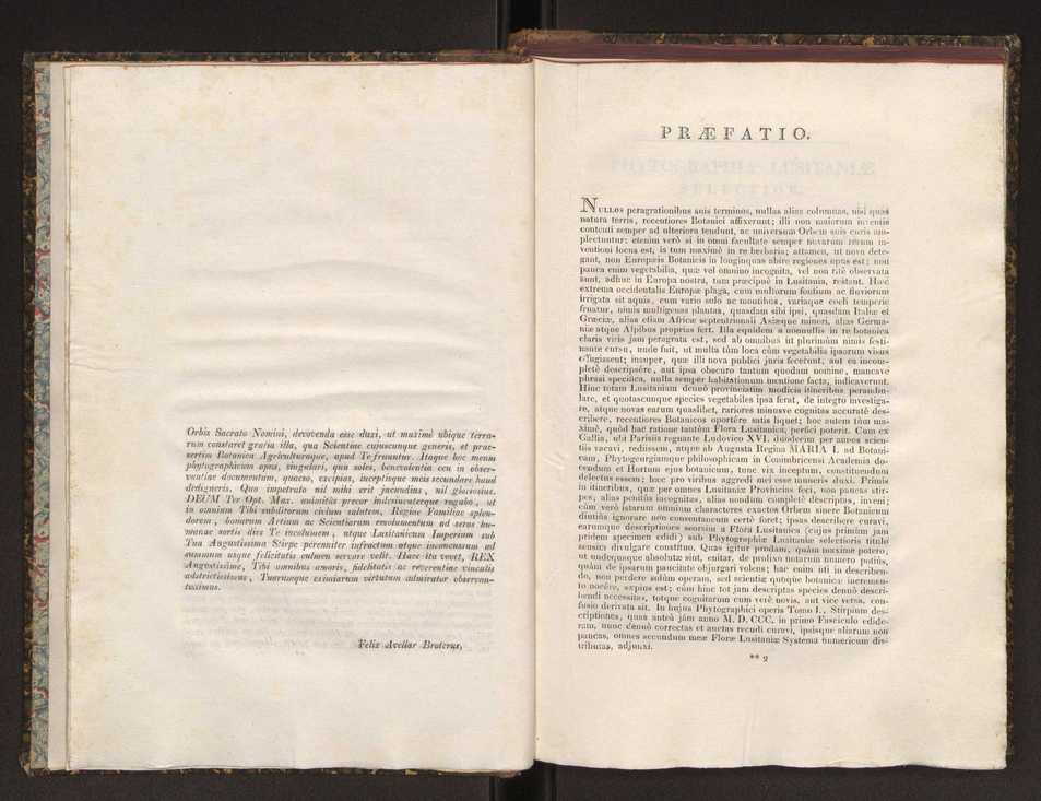 Phytographia lusitaniae selectior, seu novarum rariorum, et aliarum minus cognitarum stirpium, quae in Lusitania sponte' veniunt, ejusdemque floram spectant, descriptiones iconibus illustratae. Vol. 1 6