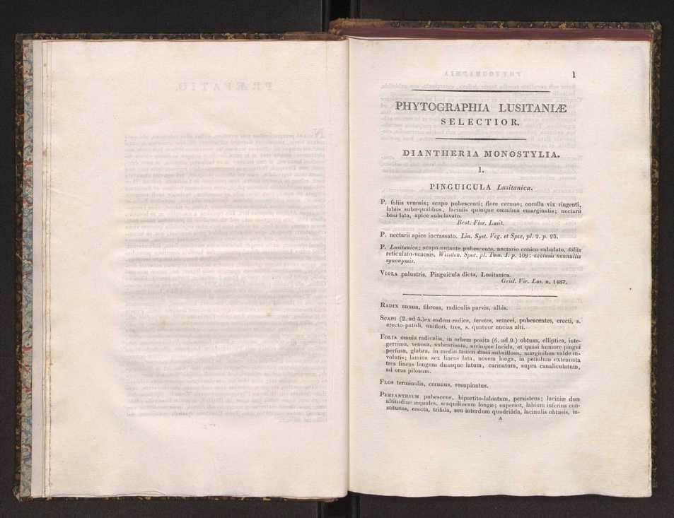 Phytographia lusitaniae selectior, seu novarum rariorum, et aliarum minus cognitarum stirpium, quae in Lusitania sponte' veniunt, ejusdemque floram spectant, descriptiones iconibus illustratae. Vol. 1 7