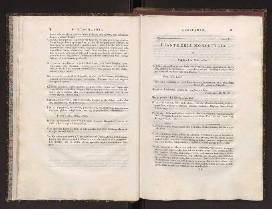 Phytographia lusitaniae selectior, seu novarum rariorum, et aliarum minus cognitarum stirpium, quae in Lusitania sponte' veniunt, ejusdemque floram spectant, descriptiones iconibus illustratae. Vol. 1 8