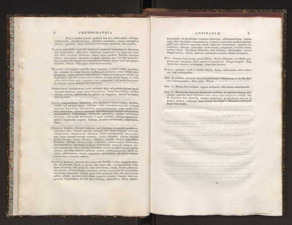 Phytographia lusitaniae selectior, seu novarum rariorum, et aliarum minus cognitarum stirpium, quae in Lusitania sponte' veniunt, ejusdemque floram spectant, descriptiones iconibus illustratae. Vol. 1 9