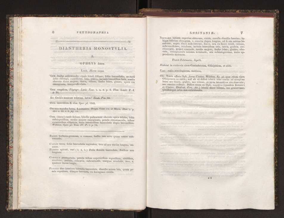 Phytographia lusitaniae selectior, seu novarum rariorum, et aliarum minus cognitarum stirpium, quae in Lusitania sponte' veniunt, ejusdemque floram spectant, descriptiones iconibus illustratae. Vol. 1 10