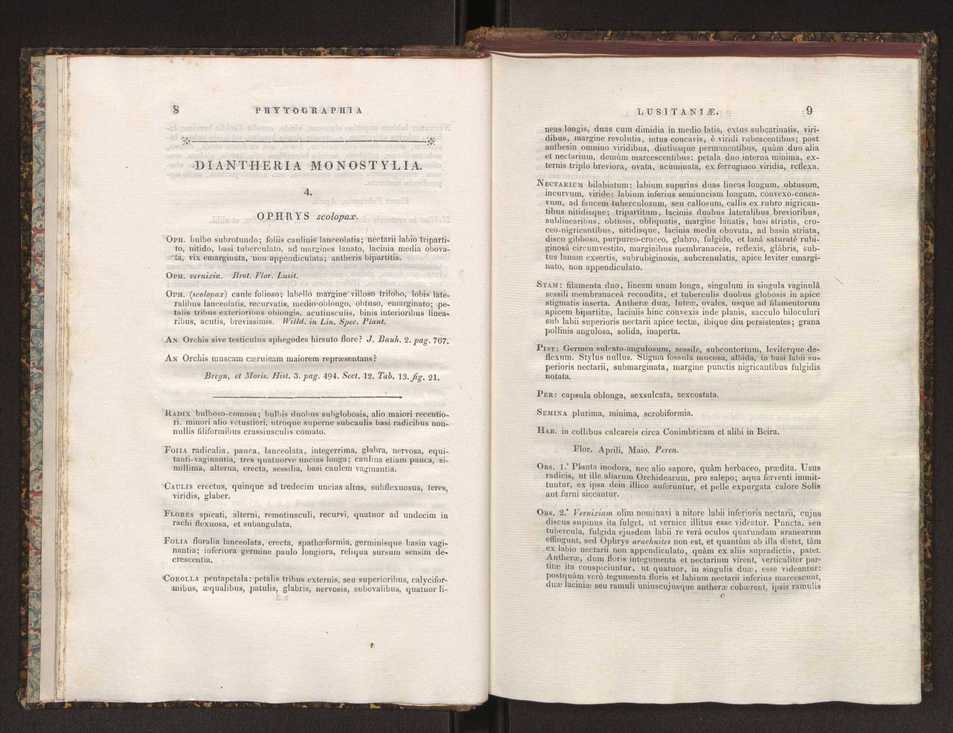 Phytographia lusitaniae selectior, seu novarum rariorum, et aliarum minus cognitarum stirpium, quae in Lusitania sponte' veniunt, ejusdemque floram spectant, descriptiones iconibus illustratae. Vol. 1 11