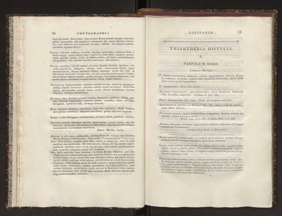 Phytographia lusitaniae selectior, seu novarum rariorum, et aliarum minus cognitarum stirpium, quae in Lusitania sponte' veniunt, ejusdemque floram spectant, descriptiones iconibus illustratae. Vol. 1 13