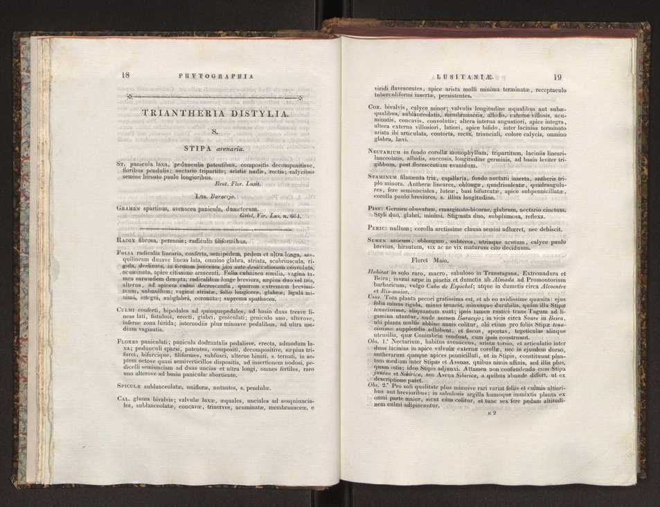 Phytographia lusitaniae selectior, seu novarum rariorum, et aliarum minus cognitarum stirpium, quae in Lusitania sponte' veniunt, ejusdemque floram spectant, descriptiones iconibus illustratae. Vol. 1 16