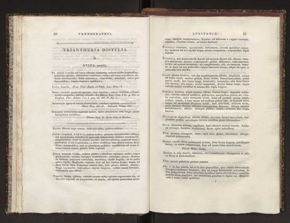 Phytographia lusitaniae selectior, seu novarum rariorum, et aliarum minus cognitarum stirpium, quae in Lusitania sponte' veniunt, ejusdemque floram spectant, descriptiones iconibus illustratae. Vol. 1 17